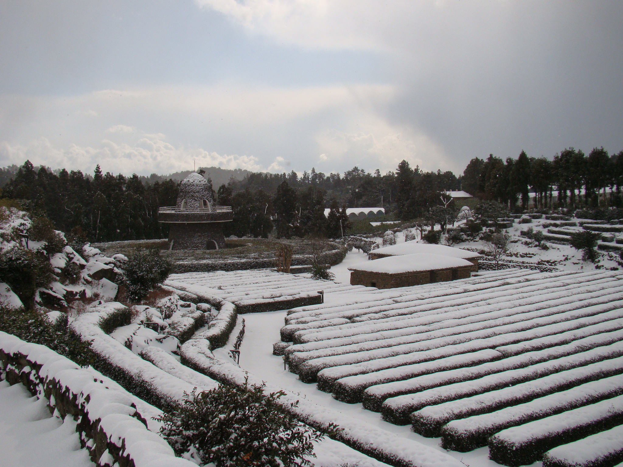 서귀포농업기술센터 겨울사진입니다. 서귀포에도 이렇게 눈이 내리네요!!!